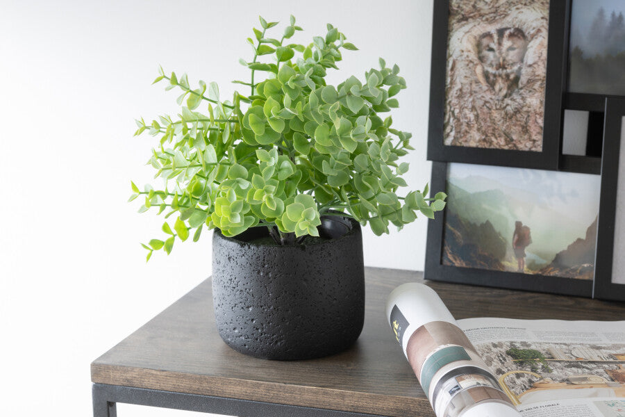 Shop: Faux Plants | Faux Florals | Plant Pots - The White Room  The White  Room Kenmare