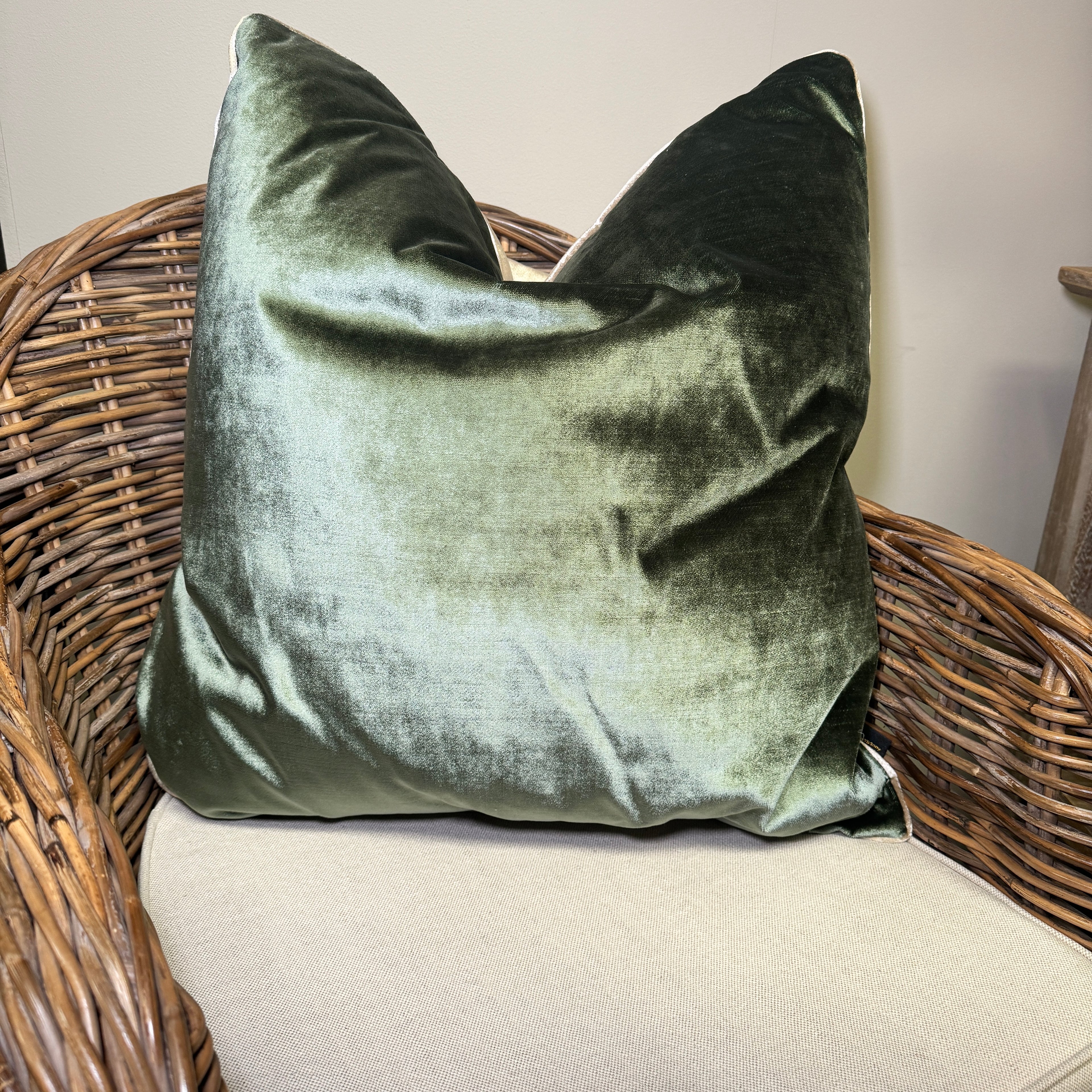 Two-Faced Sage & Cream Cushion