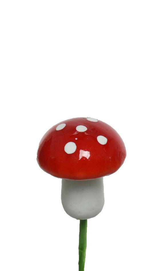 Mini Toadstools Mushrooms