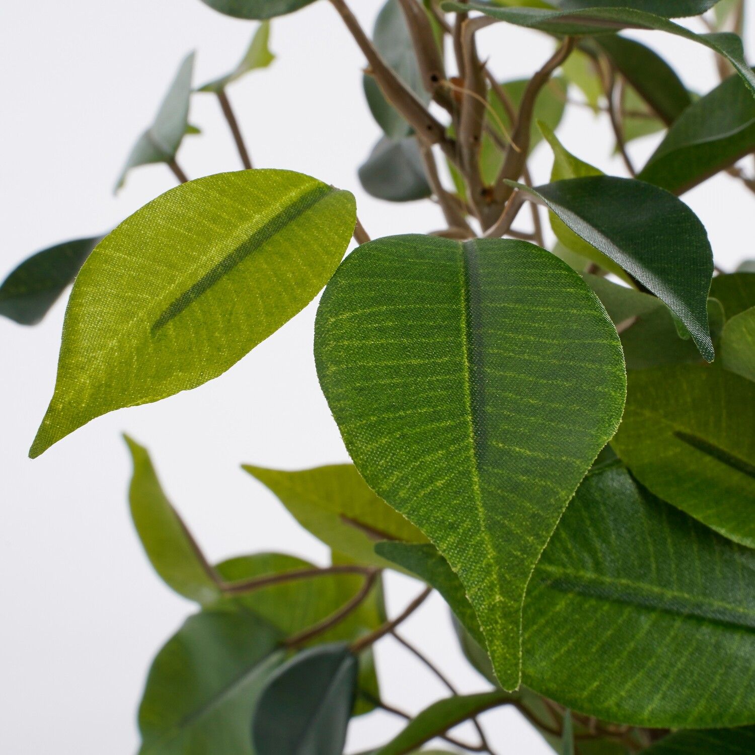 Artificial Ficus Plant in Pot - H40 x ø30 cm