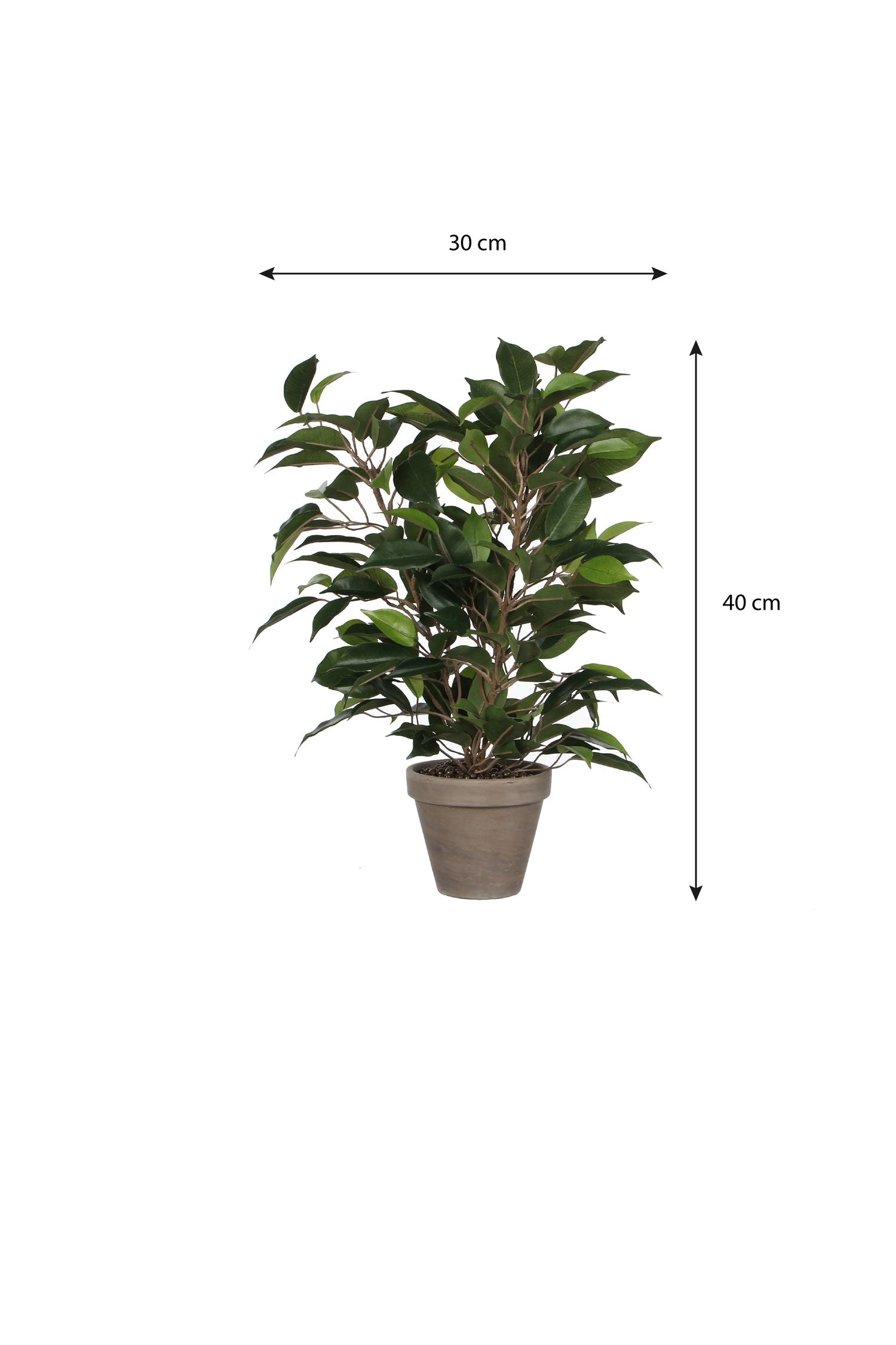 Artificial Ficus Plant in Pot - H40 x ø30 cm