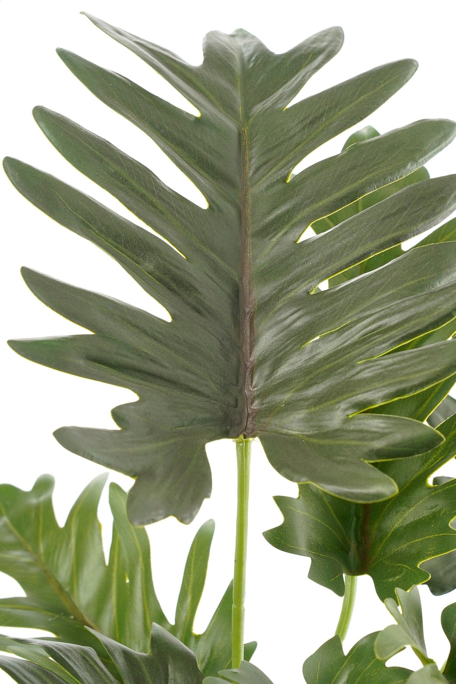 Split Leaf Artifical Philodendron in Pot - H30 x Ø27cm