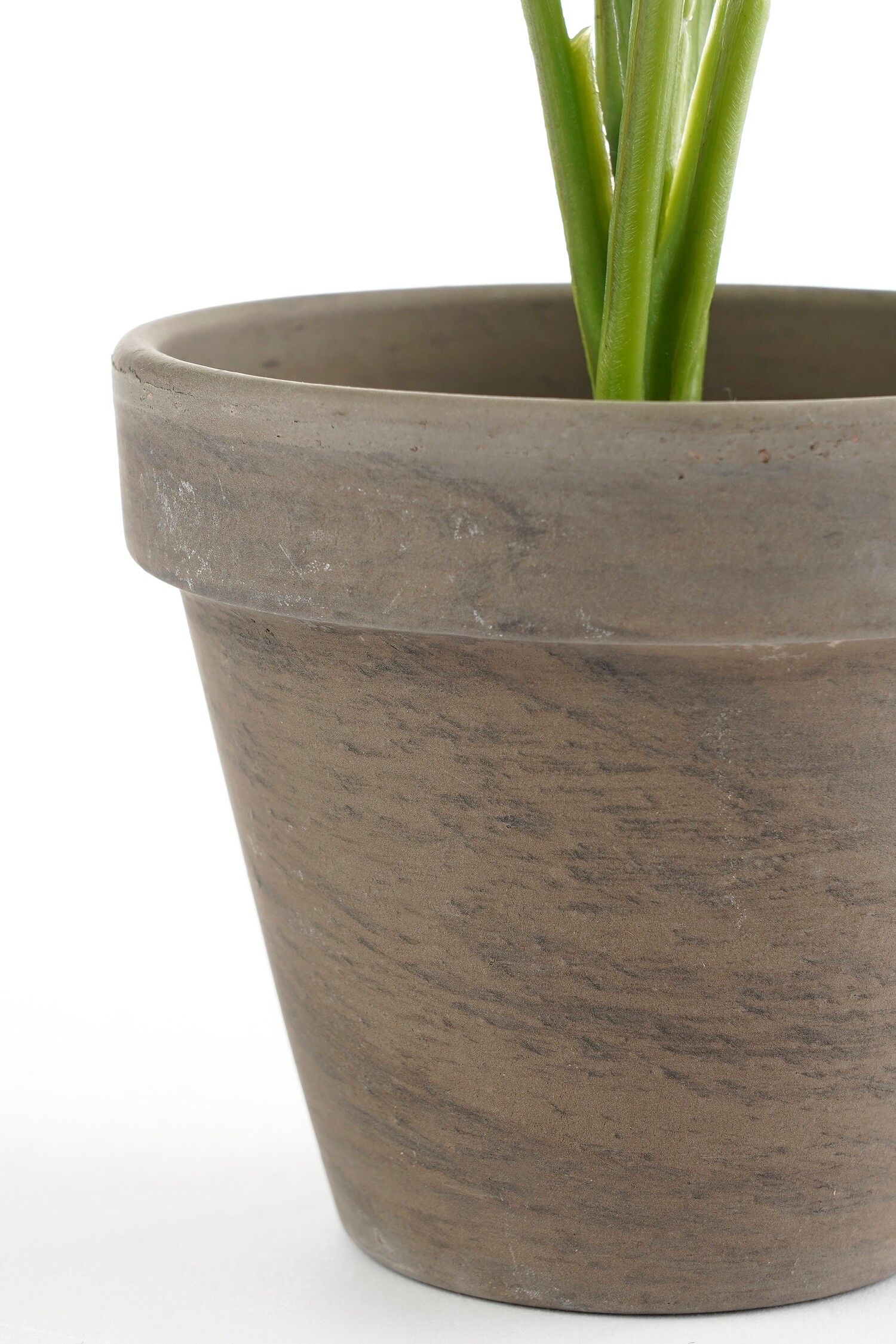Split Leaf Artifical Philodendron in Pot - H30 x Ø27cm