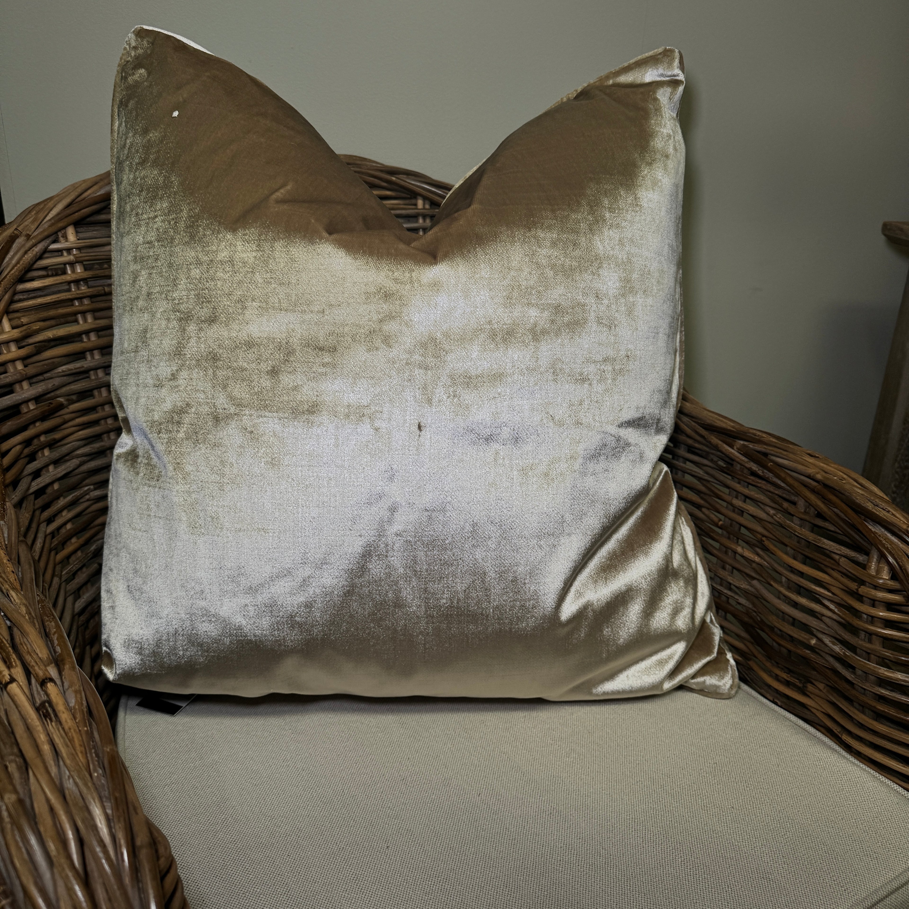 Two-Faced Sage & Cream Cushion