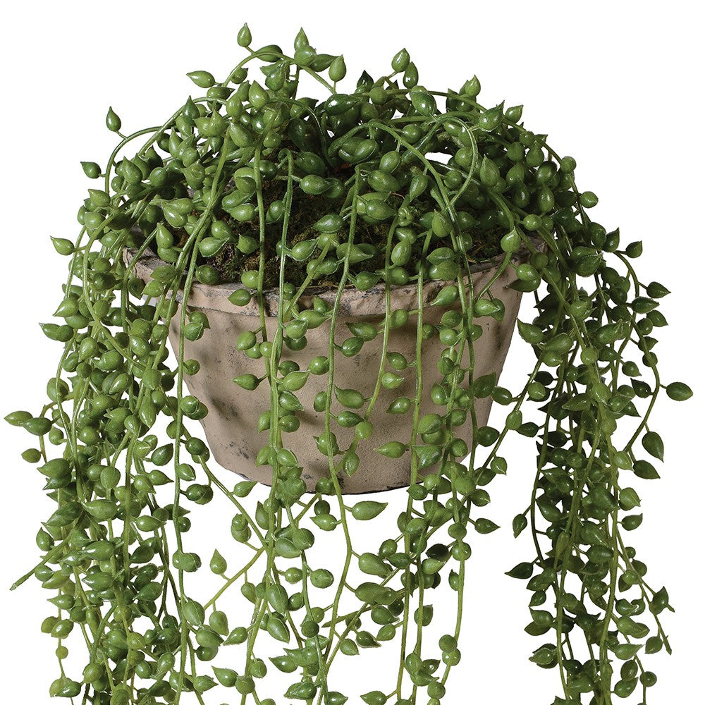 Beaded Plant In Cement Pot