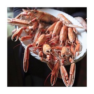 My Wild Atlantic Kitchen: Recipes and Recollections