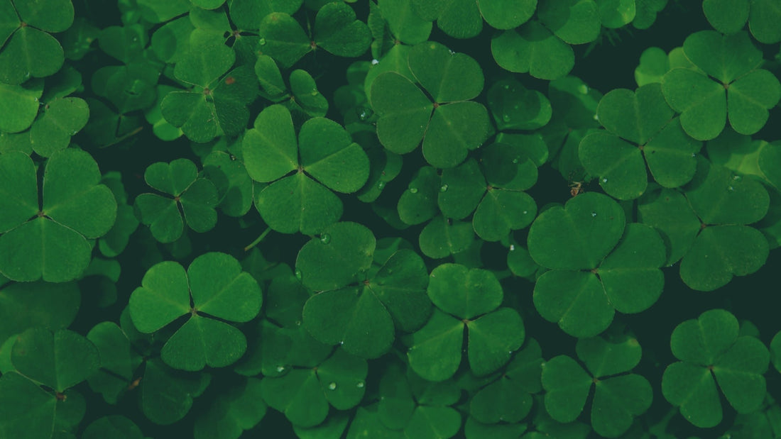 St Patrick's Day 