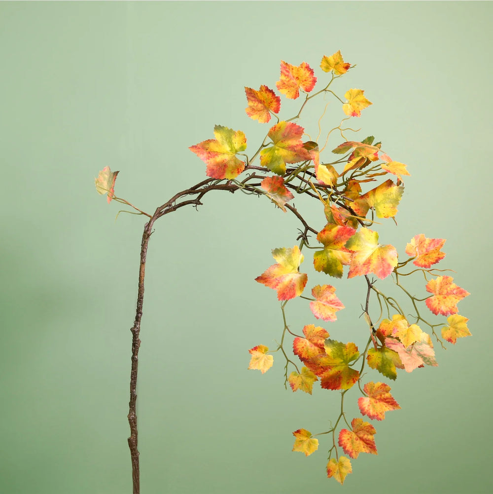 Cascading Birch Branch