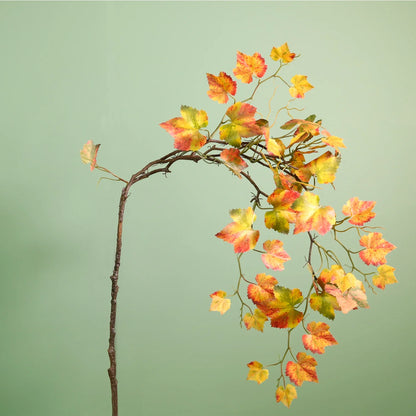 Cascading Birch Branch