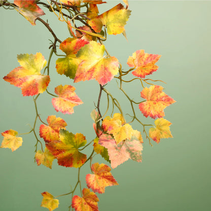 Cascading Birch Branch