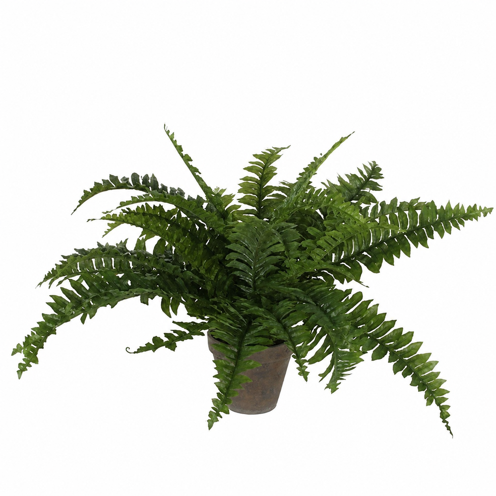 Boston Fern Artificial Plant in Plant Pot - H42 x Ø50