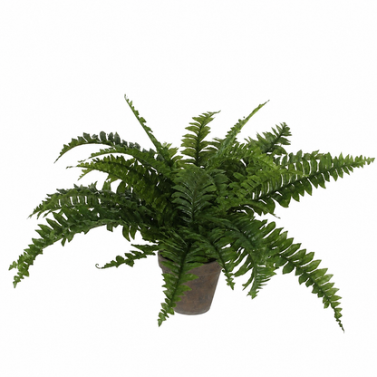 Boston Fern Artificial Plant in Plant Pot - H42 x Ø50