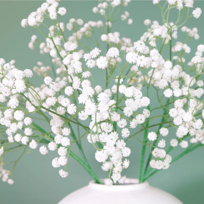 Real Feel Gypsophilia - White