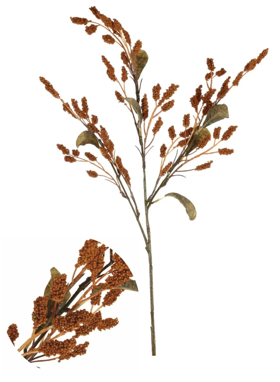 Dried Touch Sorghum - Deep Orange