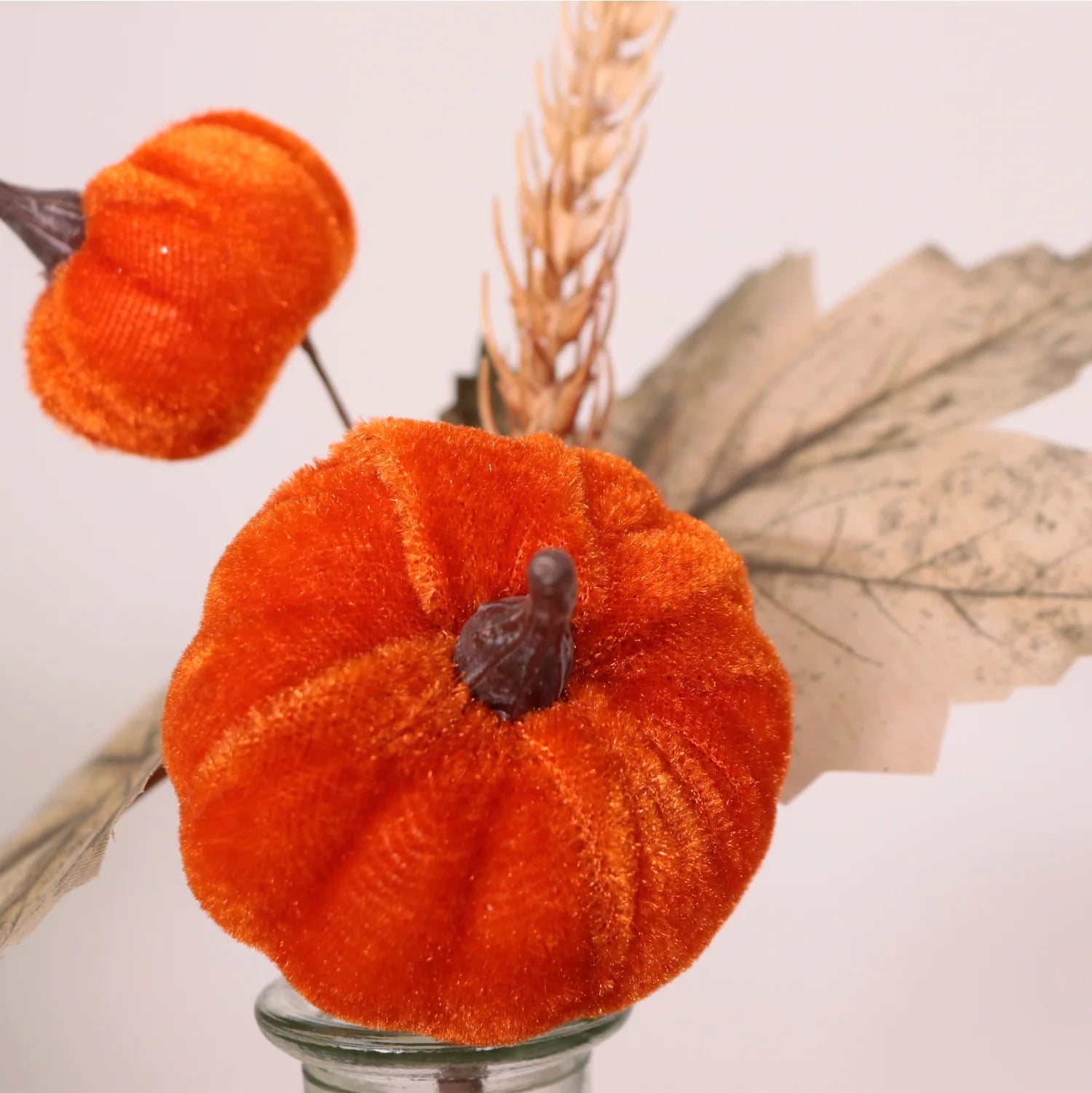 Mini Pumkin Beige Leaf Stem