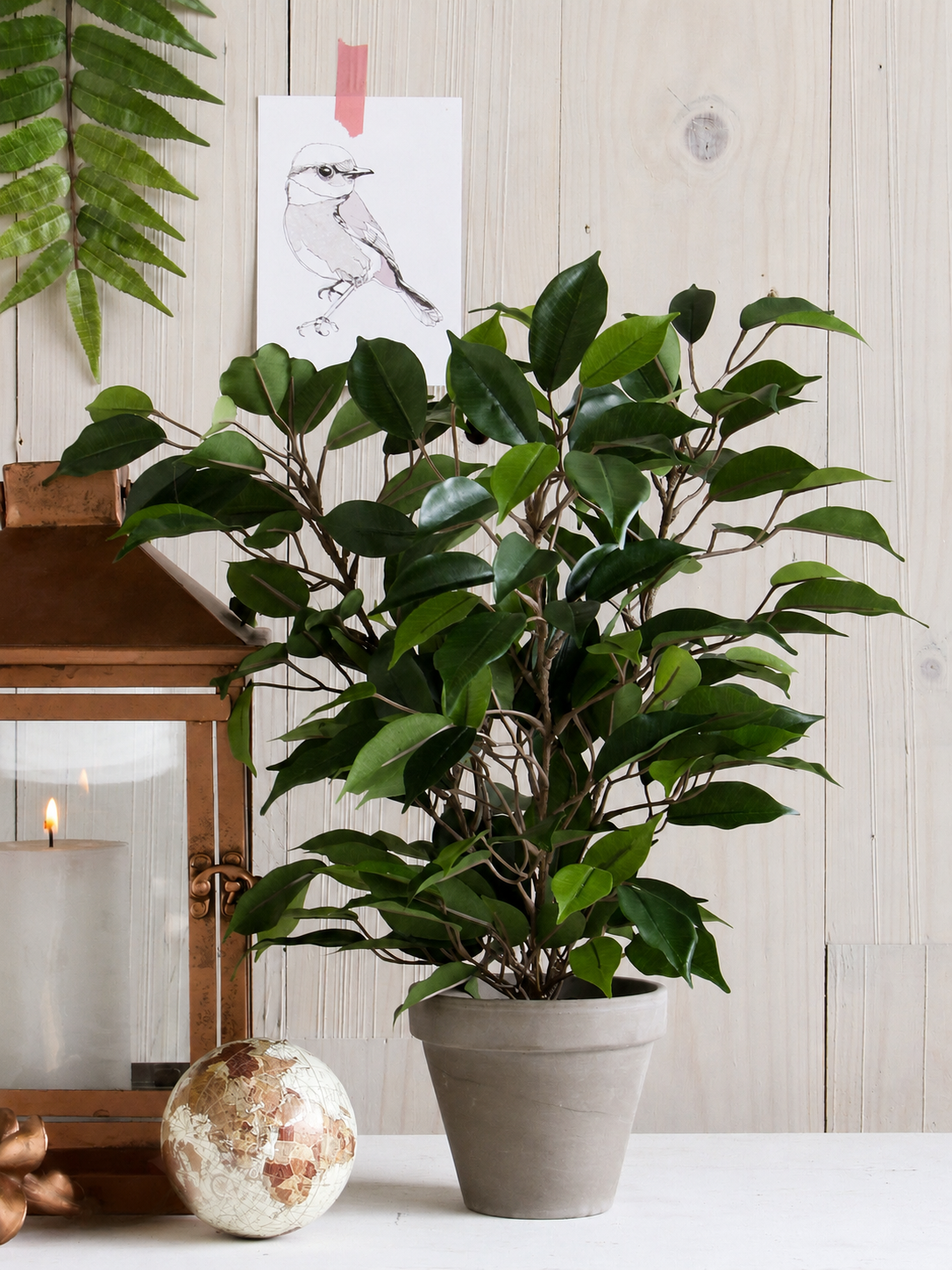 Artificial Ficus Plant in Pot - H40 x ø30 cm
