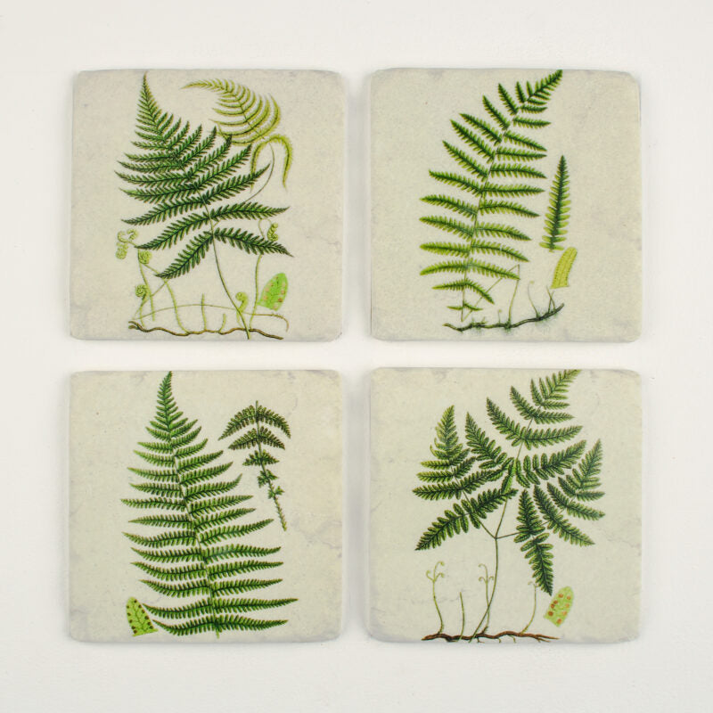 Fern Coasters S/4