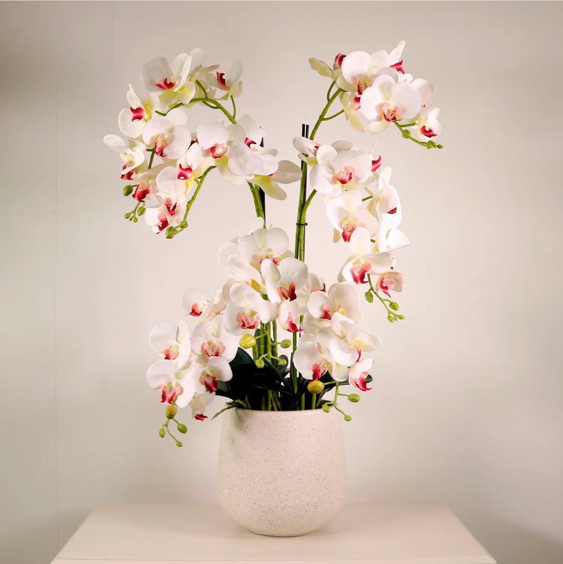 Lavish Faux Orchid In Pot
