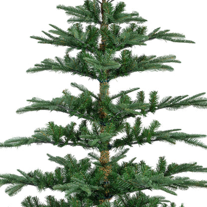 7ft Nobilis Fir Christmas Tree