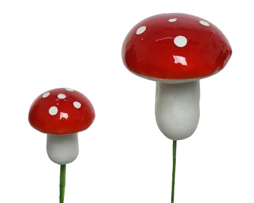 Mini Toadstools Mushrooms