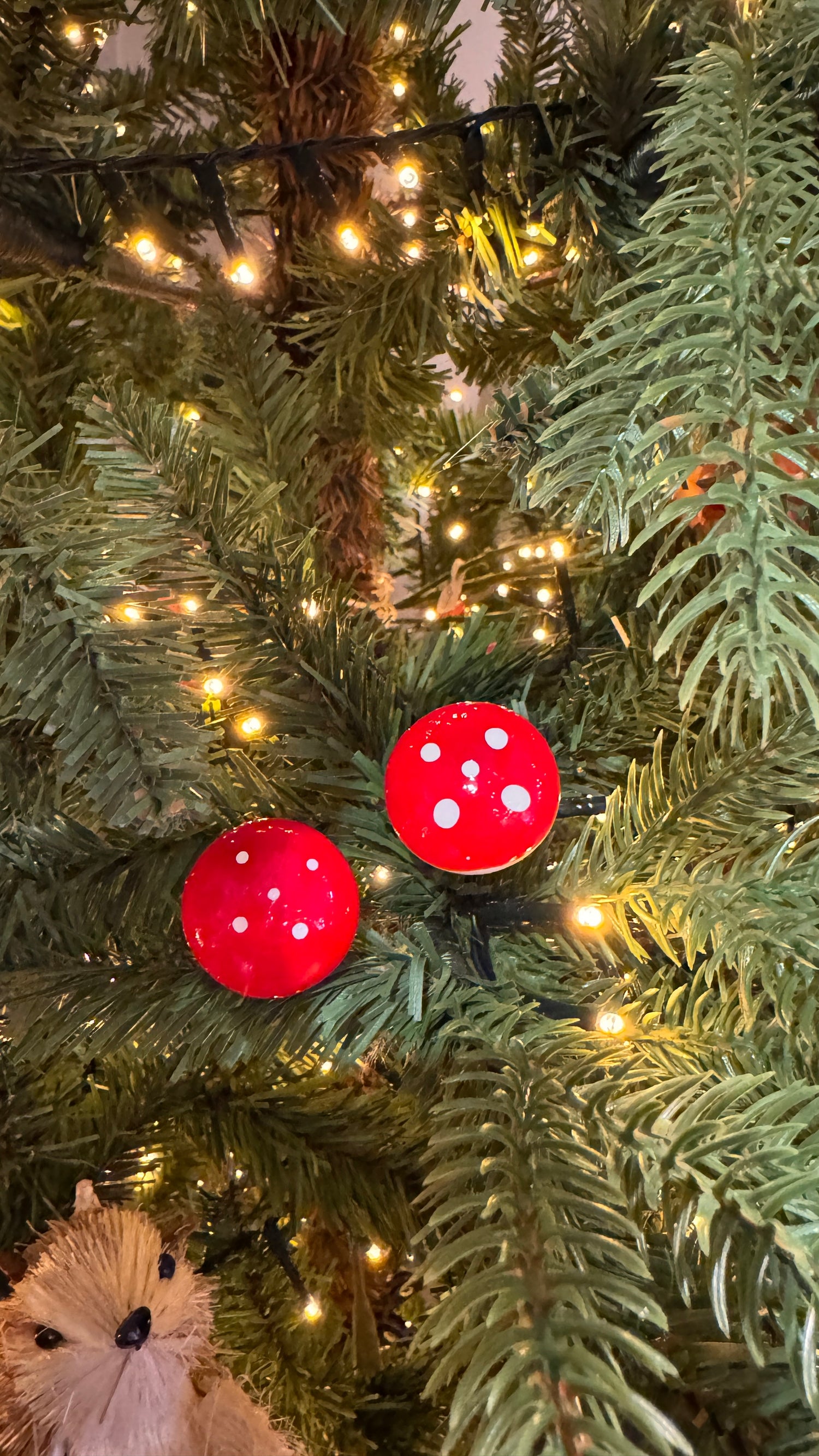 Mini Toadstools Mushrooms