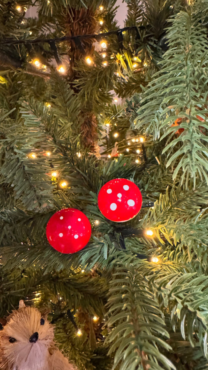 Mini Toadstools Mushrooms