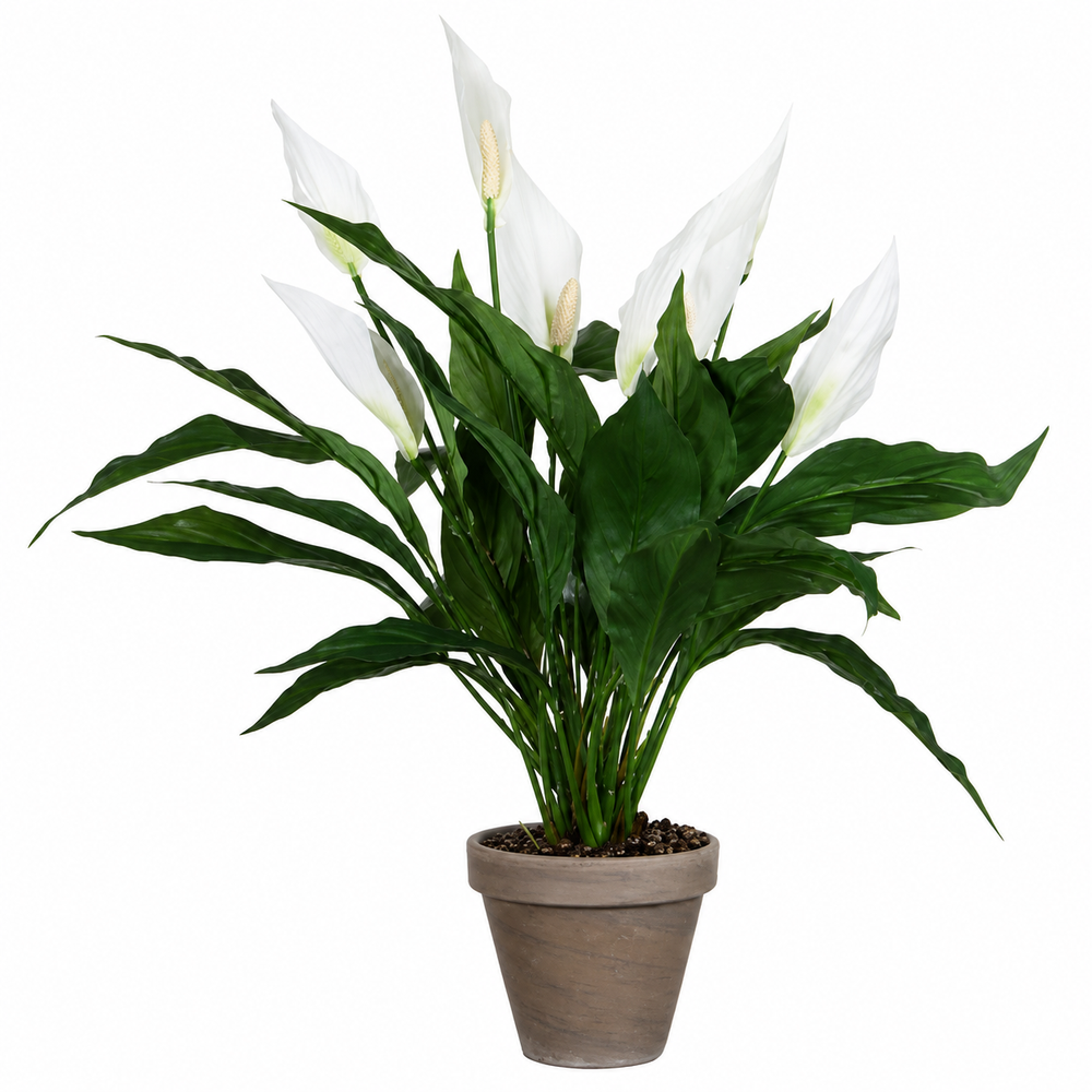 Artificial Peace Lily in Pot - H50 x Ø40 cm