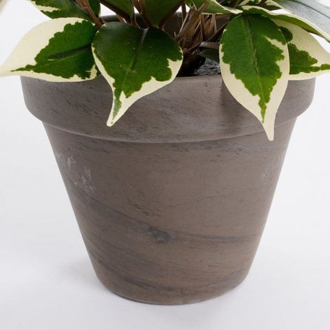 Ficus Natasja Artificial Plant in Plant Pot