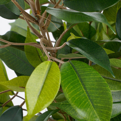 Artificial Ficus Plant in Pot - H40 x ø30 cm