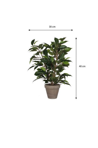 Artificial Ficus Plant in Pot - H40 x ø30 cm