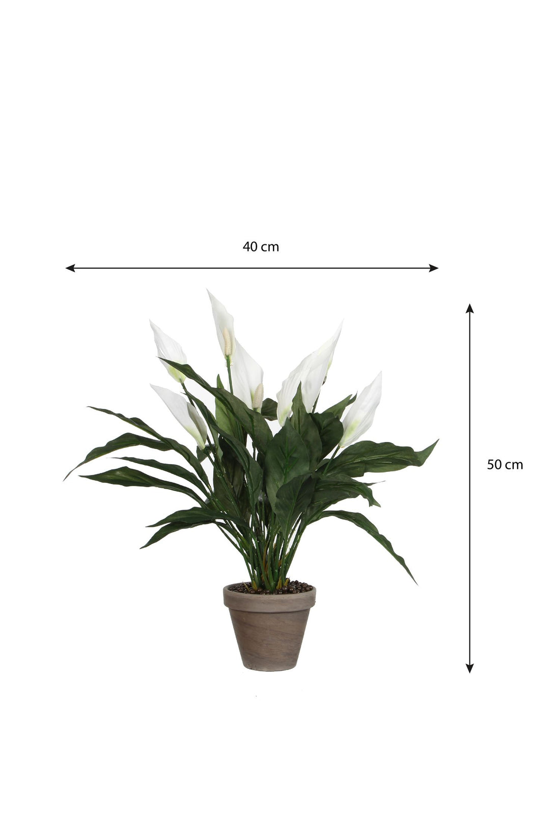 Artificial Peace Lily in Pot - H50 x Ø40 cm