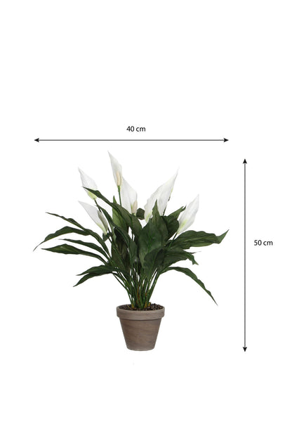 Artificial Peace Lily in Pot - H50 x Ø40 cm