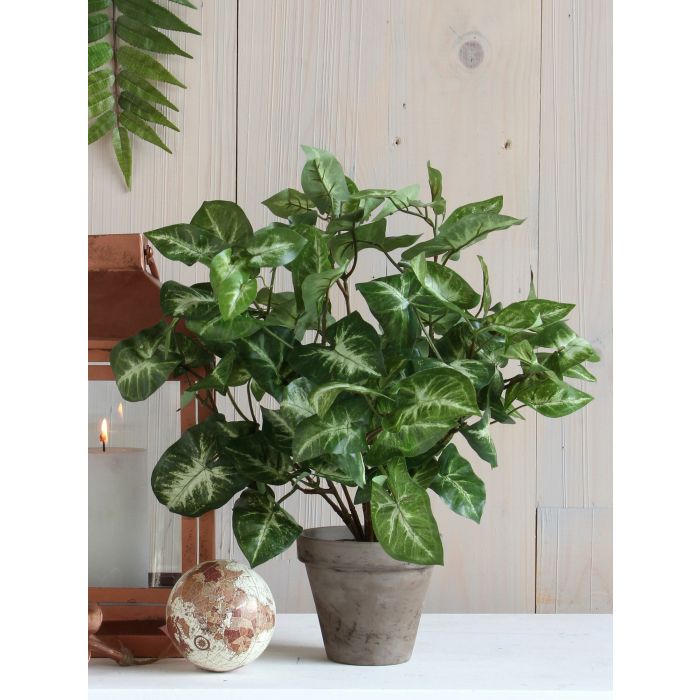 Syngonium Artificial Plant in Plant Pot