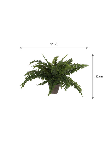 Boston Fern Artificial Plant in Plant Pot - H42 x Ø50