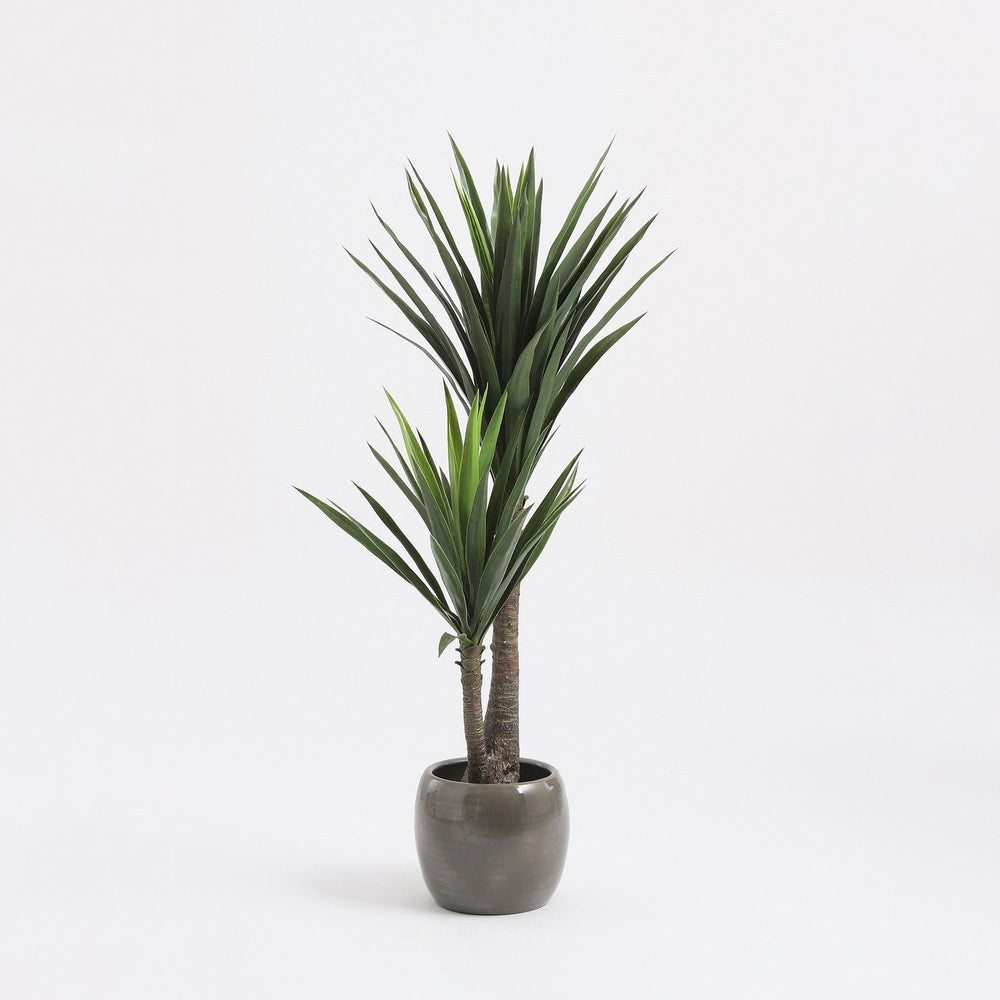 Artificial Yucca Tree H110 x ø55 cm