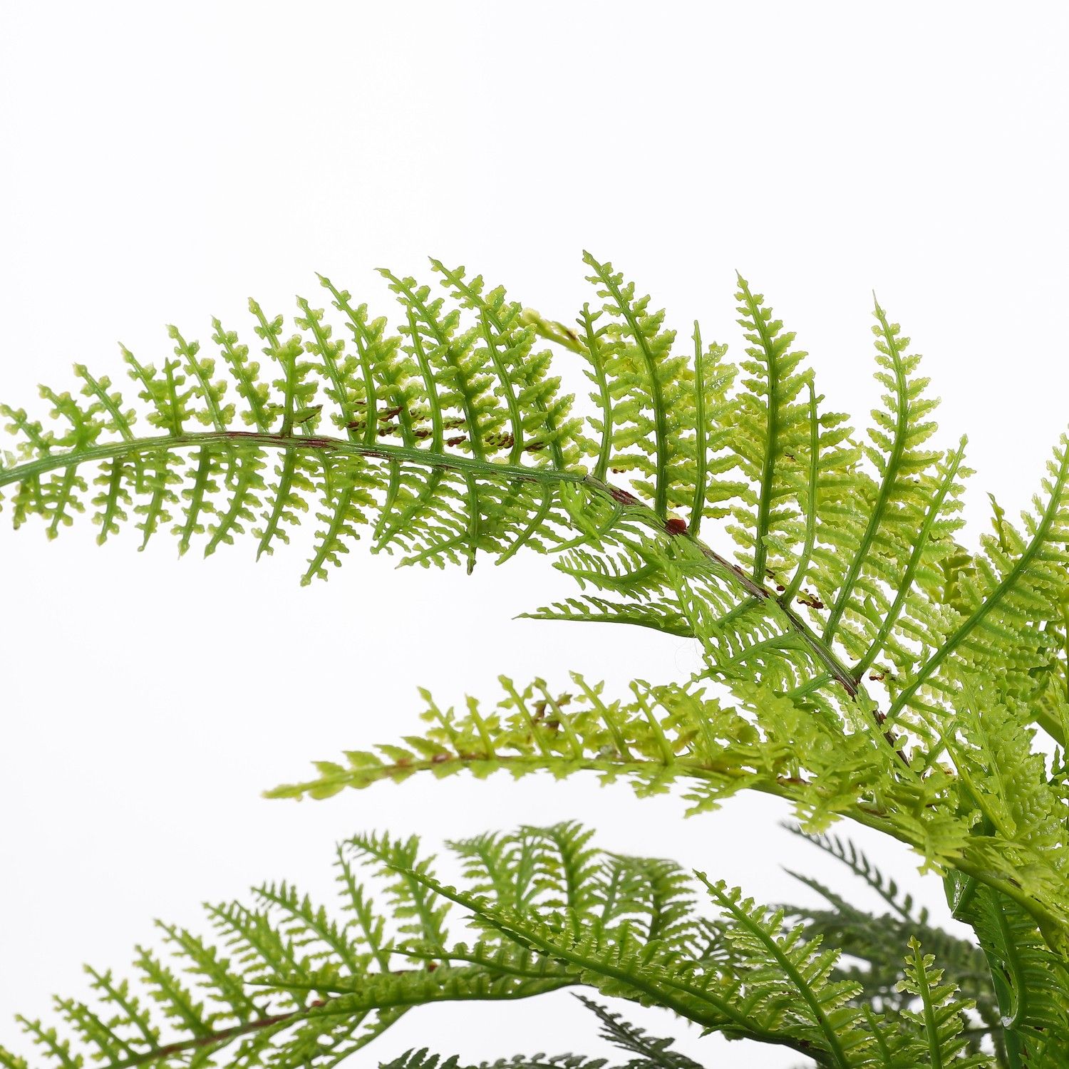 Artificial Fern in Pot - H40 x Ø60 cm
