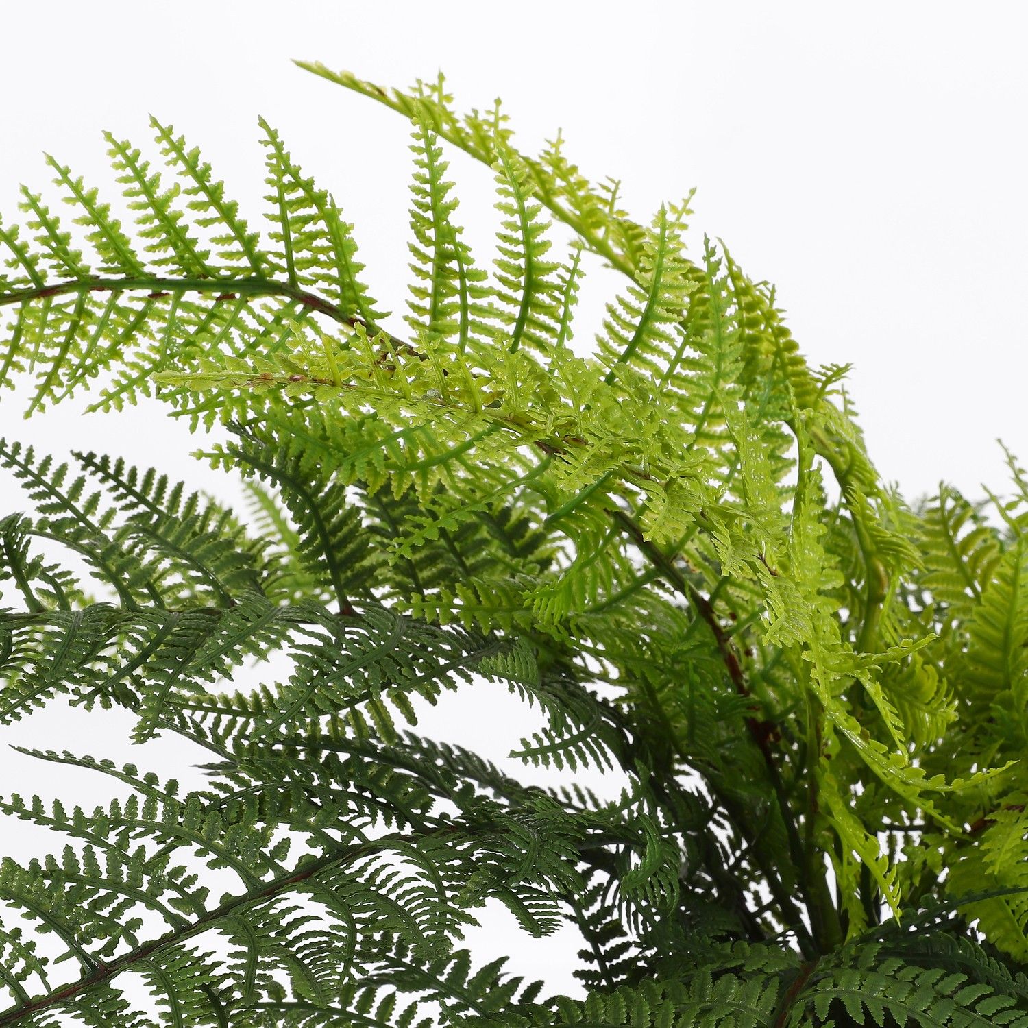 Artificial Fern in Pot - H40 x Ø60 cm
