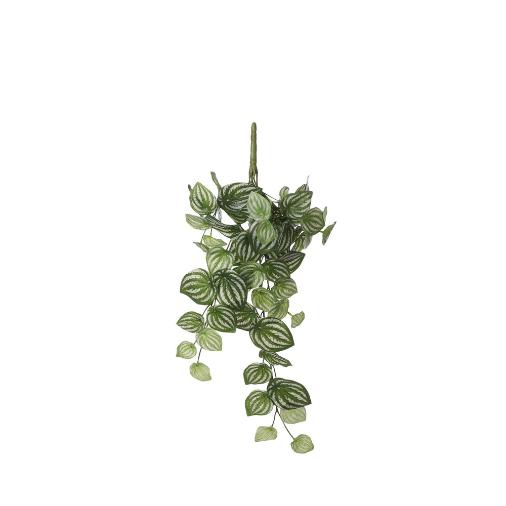 Artificial Watermelon Peperomia Hanging Bush - L65 cm