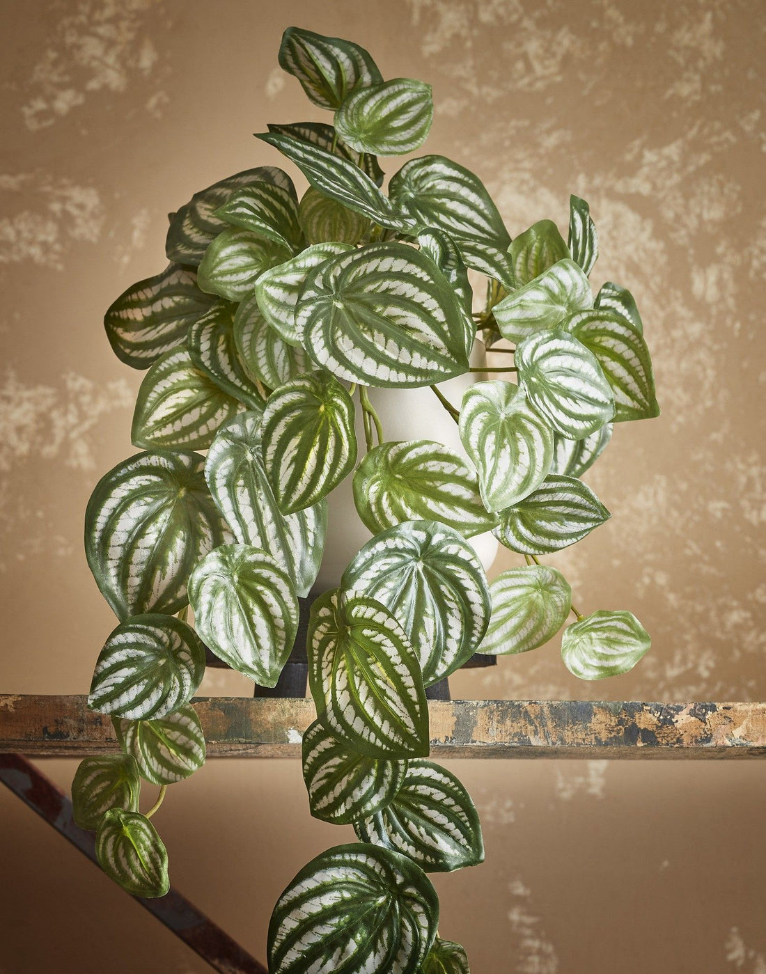 Artificial Watermelon Peperomia Hanging Bush - L65 cm