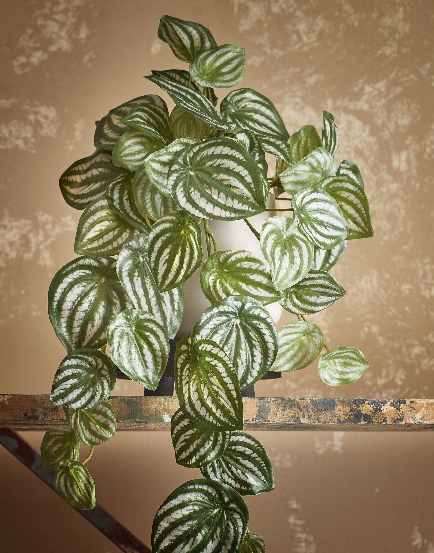 Artificial Watermelon Peperomia Hanging Bush - L65 cm