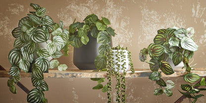 Artificial Watermelon Peperomia Hanging Bush - L65 cm