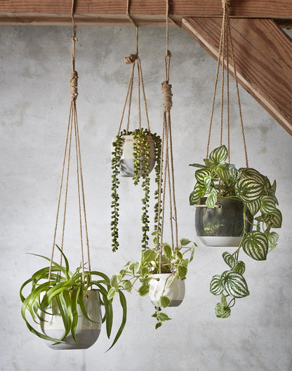 Artificial Watermelon Peperomia Hanging Bush - L65 cm