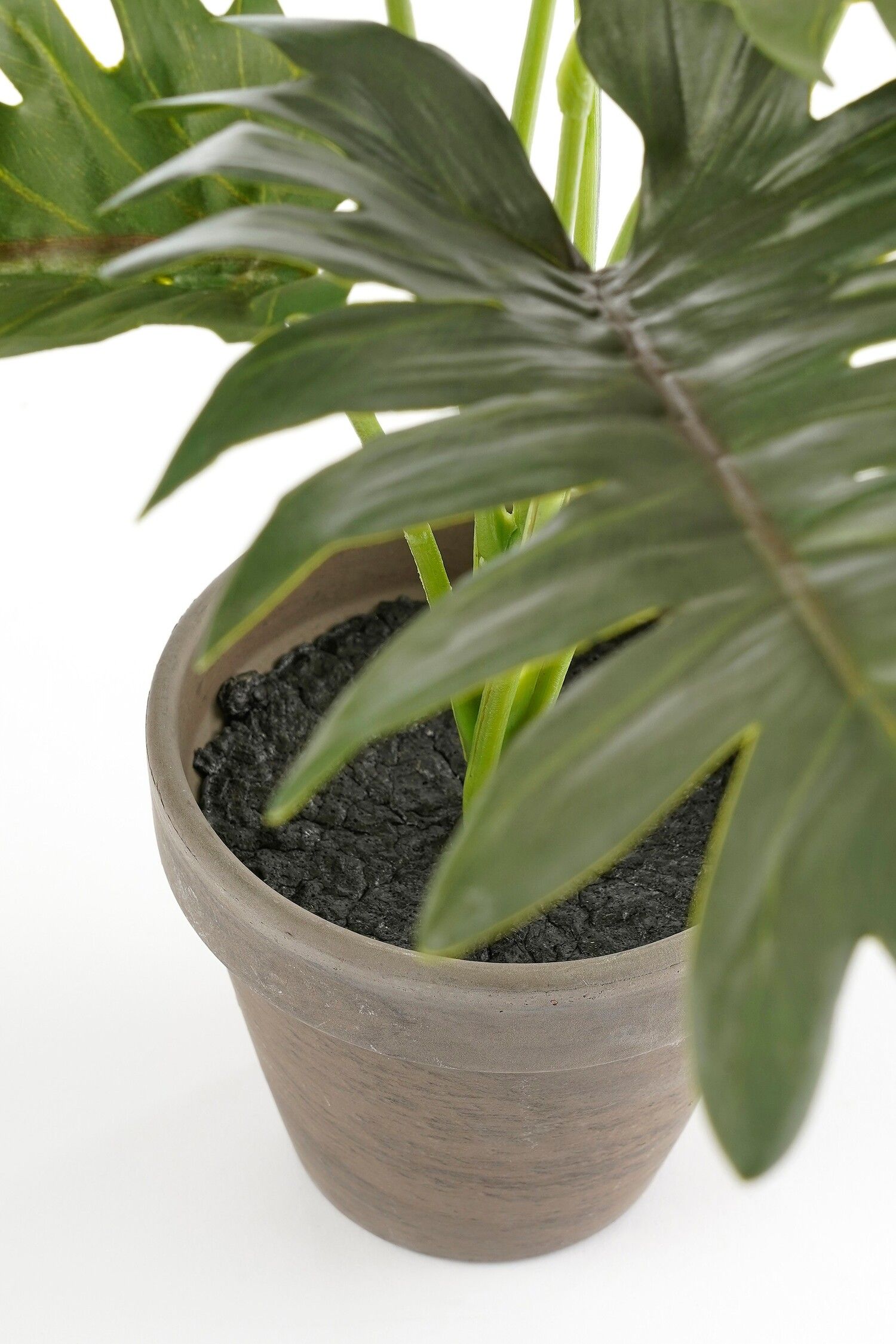 Split Leaf Artifical Philodendron in Pot - H30 x Ø27cm