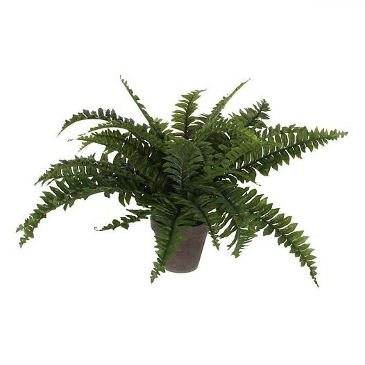 Boston Fern Artificial Plant in Plant Pot