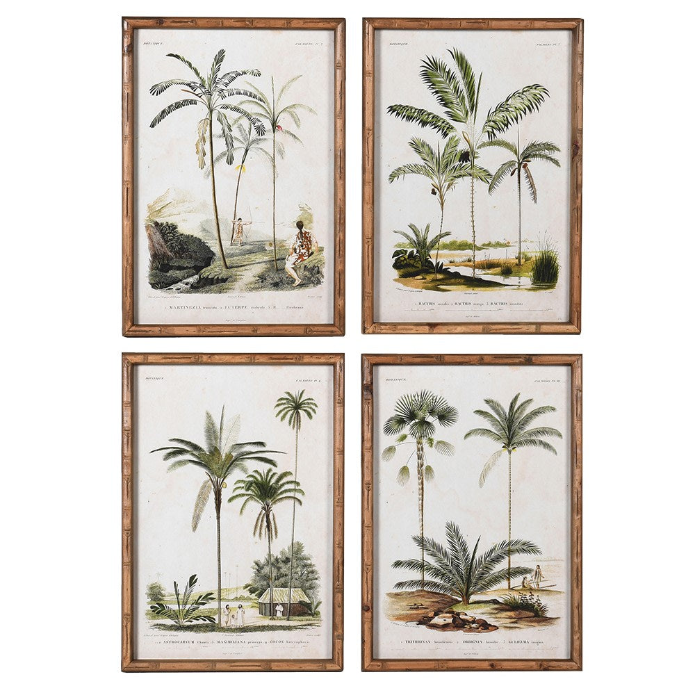 Palm Tree Pictures (Set Of 4)