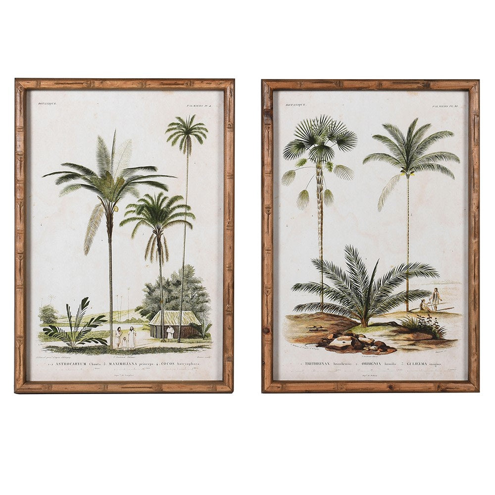 Palm Tree Pictures (Set Of 4)