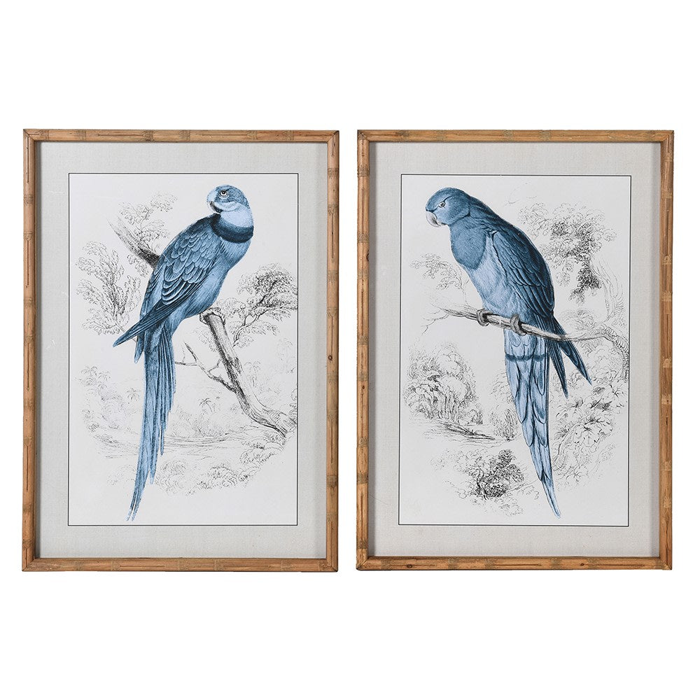 Tropical Blue Parrot Pictures (Set Of 2)