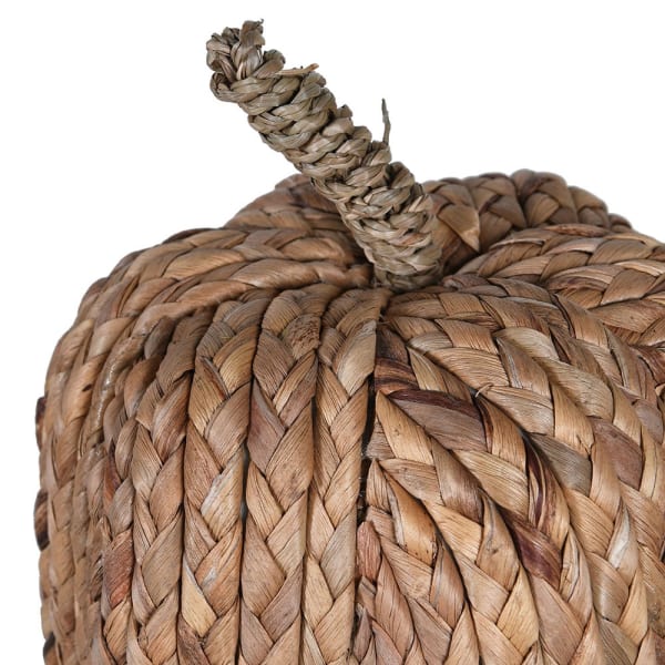 Natural Woven Pumkin