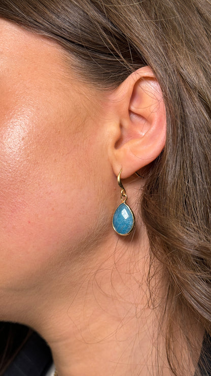 Cerulean Hook Earrings In Gold-Tone