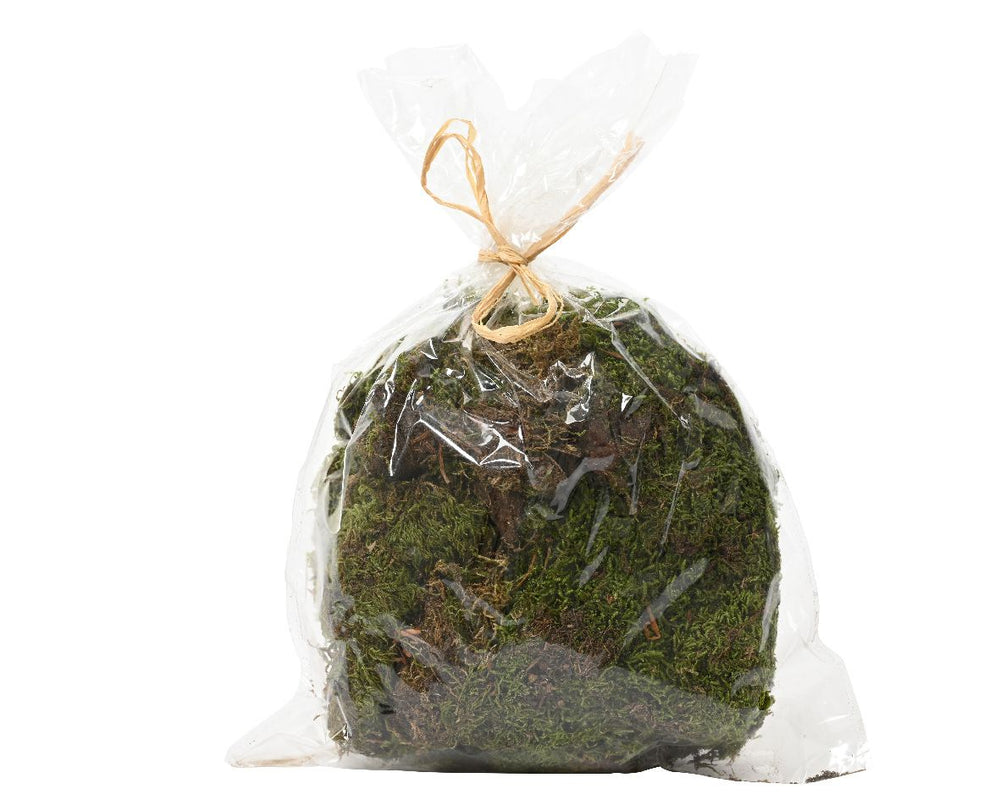 Natural Dried Moss